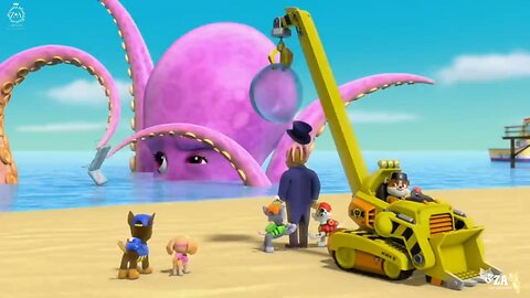 PAW Patrol Cartoons