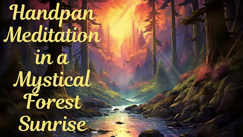 Handpan Meditation & Relaxation in a Mystical Forest Sunrise🌲