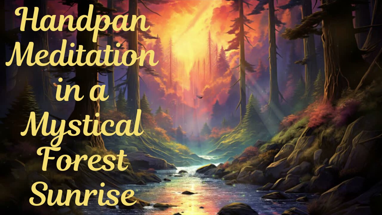 Handpan Meditation & Relaxation in a Mystical Forest Sunrise🌲