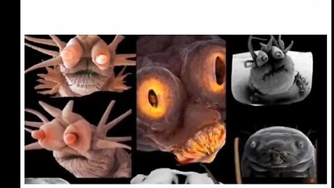 "Unveiling Dark Mysteries: An In-depth Analysis of Demon Parasites and Their Impact"