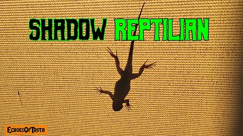Shadow Reptilian: The Frightening Mysterious Paranormal Encounter!