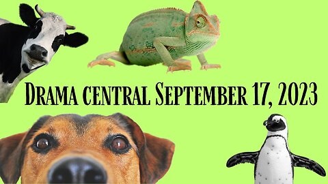 September 17, 2023