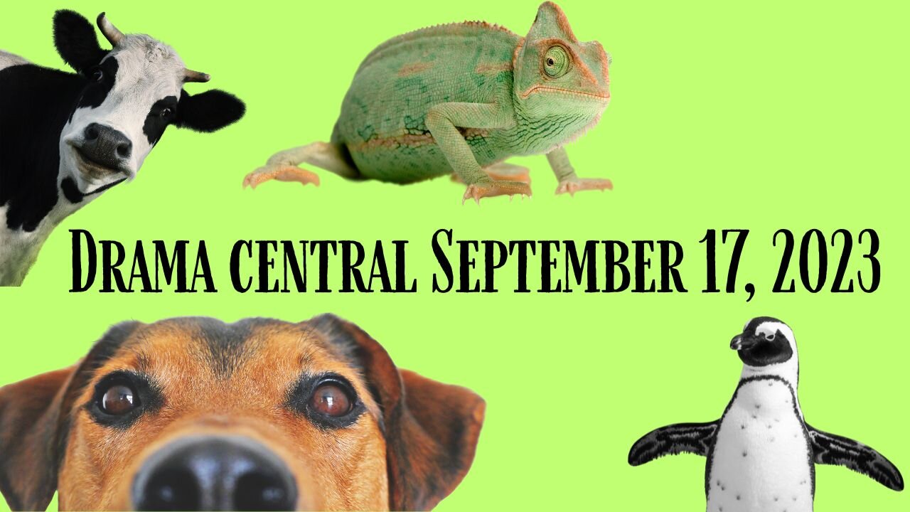 September 17, 2023