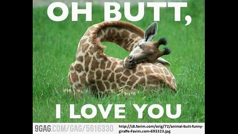 BubbleButtTrueBeaut