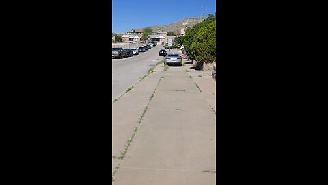 Daily Walk