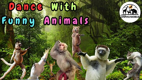 Funny animals dance, 😄😢🤣 Animals Songs 😄😆Funny Animals Doing Funny Things 😄😆🤣😂