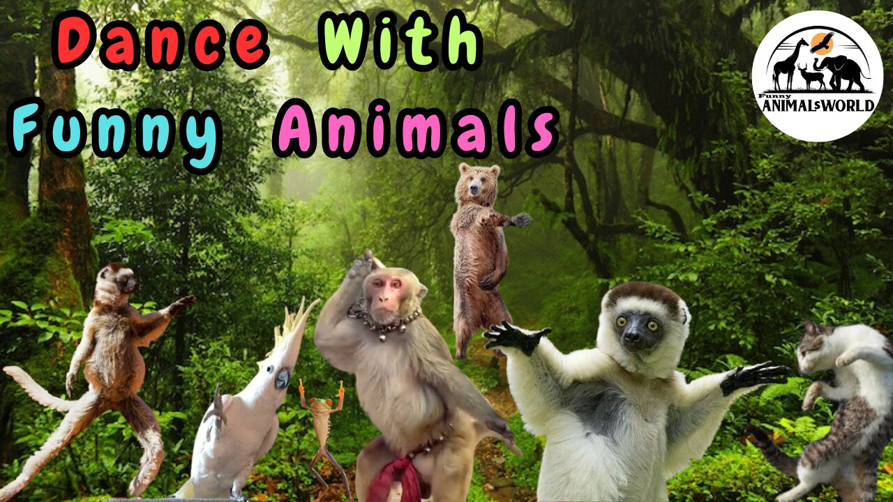 Funny animals dance, 😄😢🤣 Animals Songs 😄😆Funny Animals Doing Funny Things 😄😆🤣😂