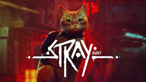 Cat Stream | Stray - Full Playthrough pt2