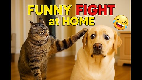 Funny Fight At Home 🤣🤣🤣🤣