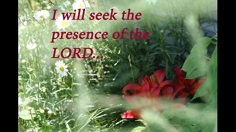 Seek First The Kingdom Of God