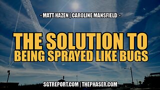 A SOLUTION TO BEING SPRAYED LIKE BUGS -- Matt Hazen & Caroline Mansfield