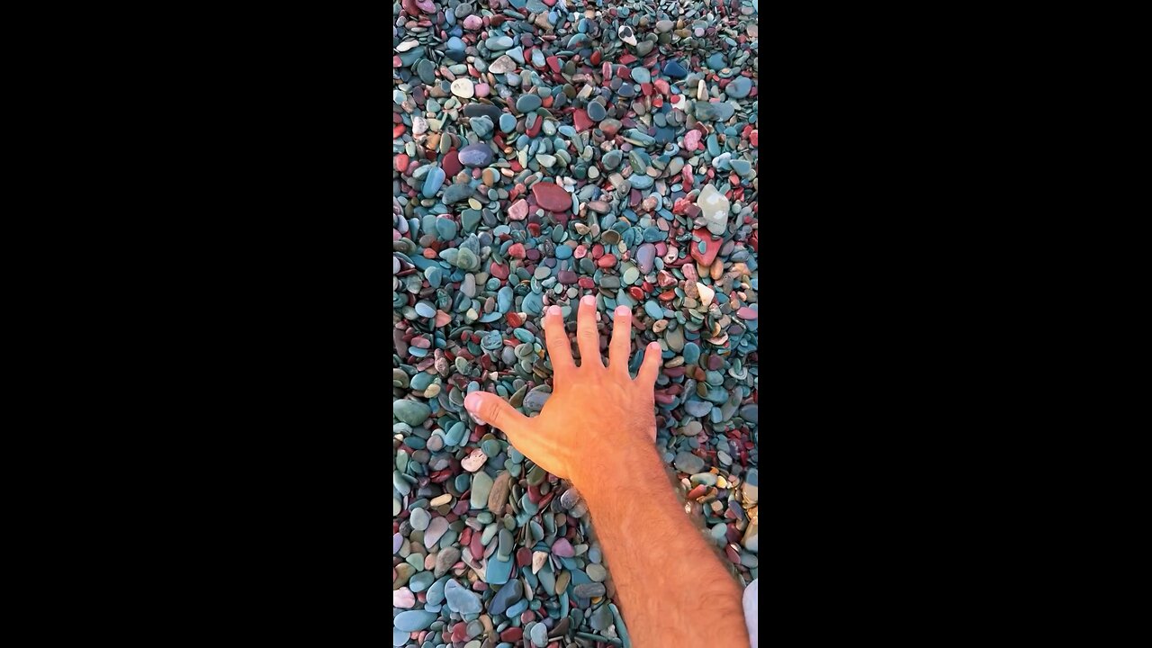 nature video