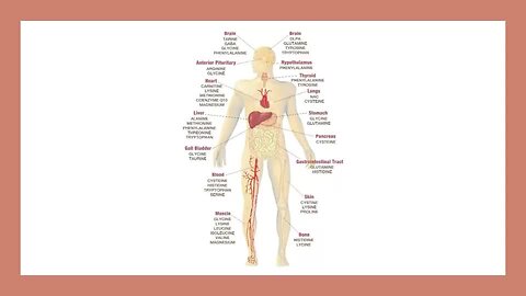 "Natural Remedies for Herpes and Shingles"