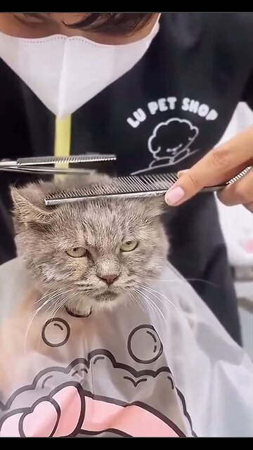 Getting ready for a date!