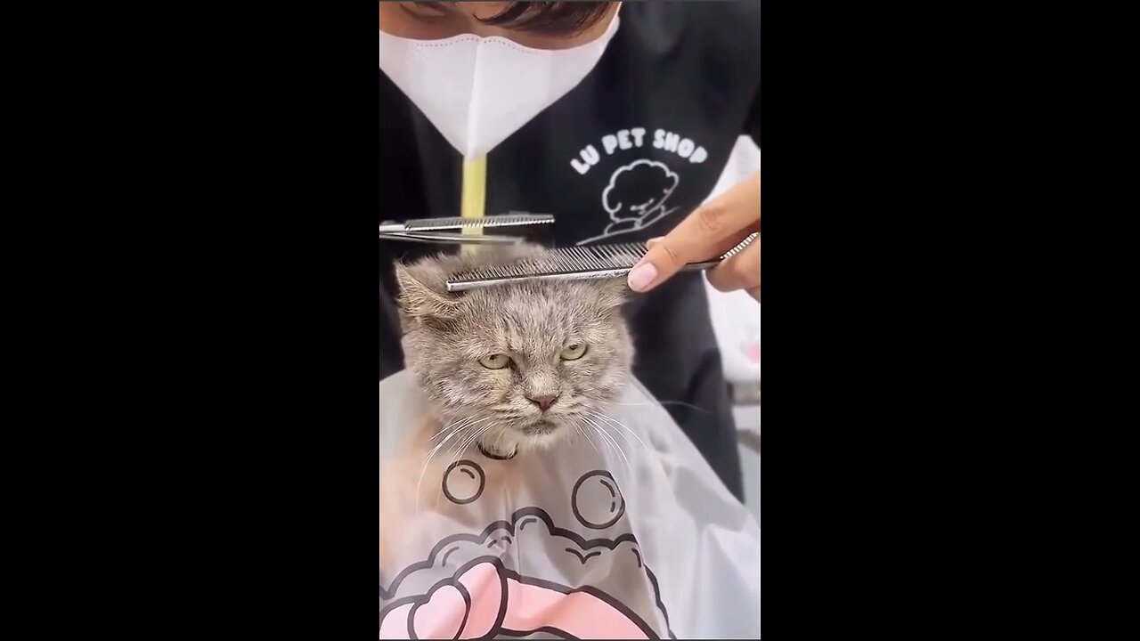 Getting ready for a date!
