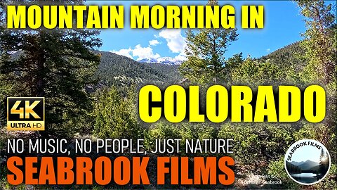 Mountain Morning in Colorado, With Soothing River and Birds Sounds