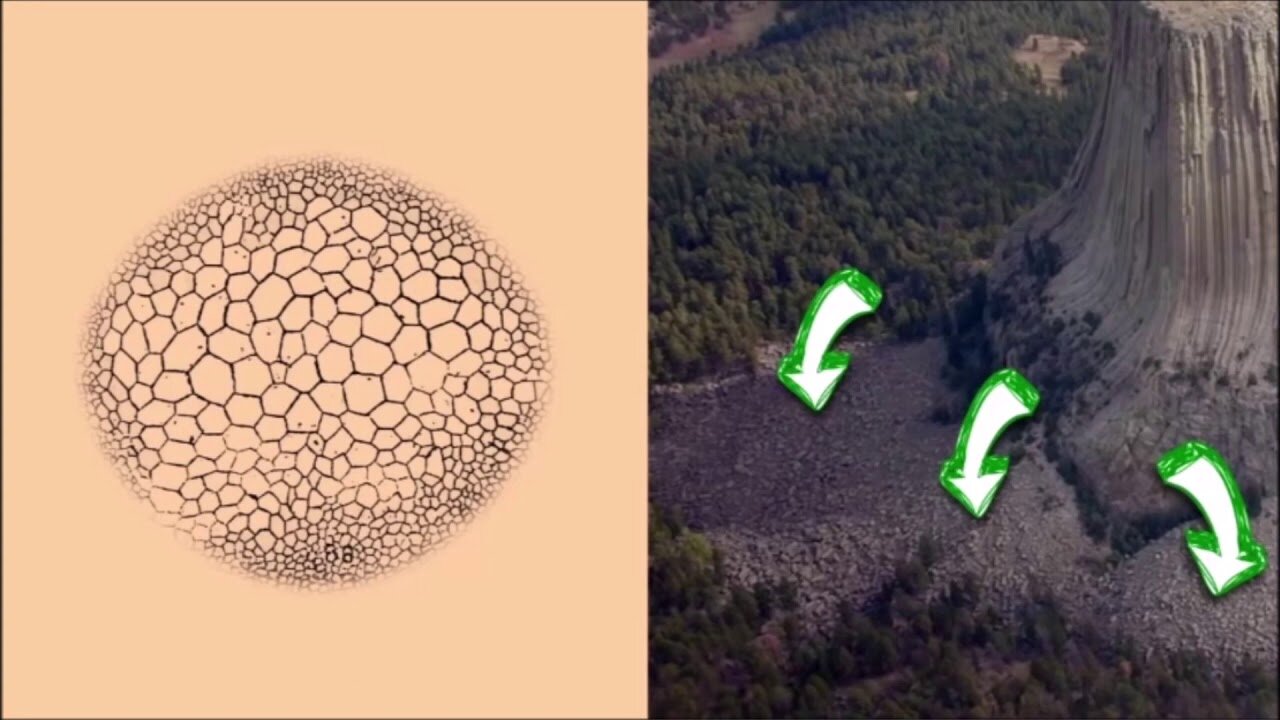Revisiting "There Are No Forests on The Flat Earth" by Darin Wagner ✅