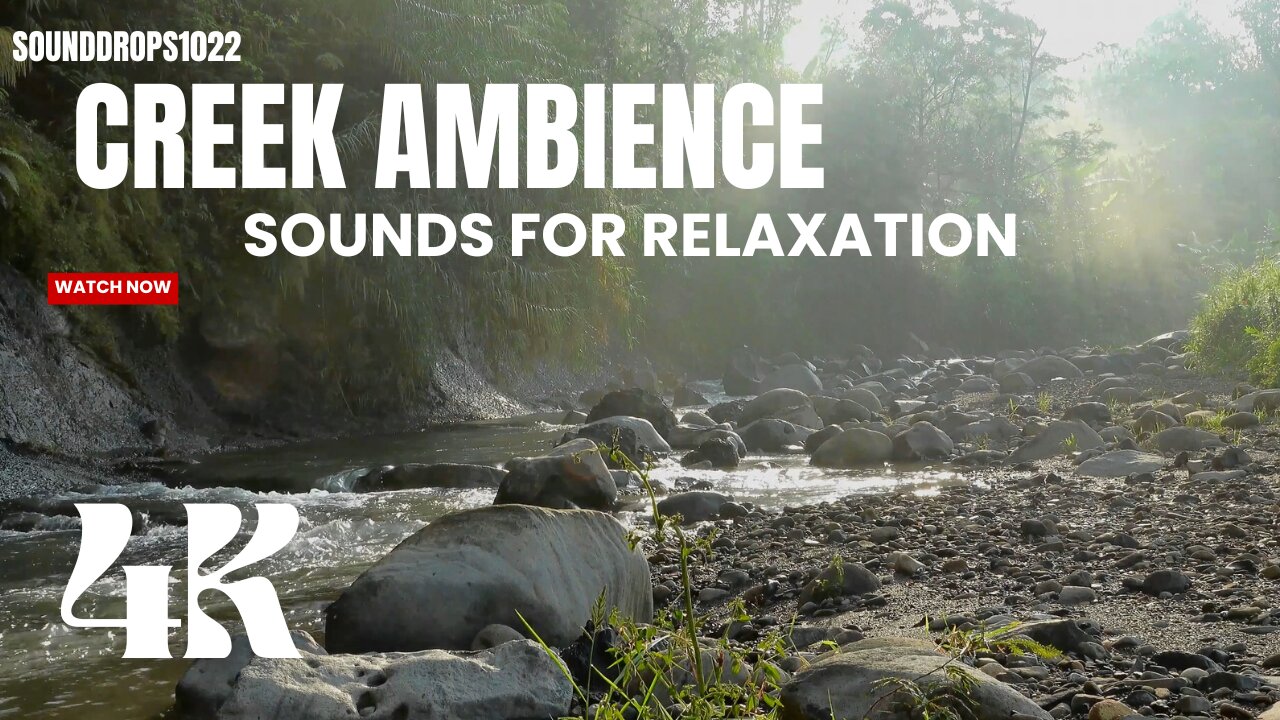 45 Minutes of Creek Ambience : Sounds For Relaxation