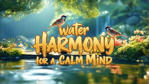 Nature's Water Harmony for a Calm Mind🌿