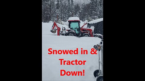 20 inches of Snow and Counting!