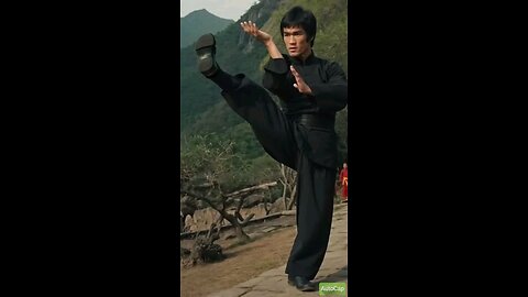 Brucelee history