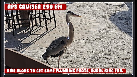 Grabbing some plumbing parts, Rural king failed me again. the RPS Cruiser. Crumps ope by water