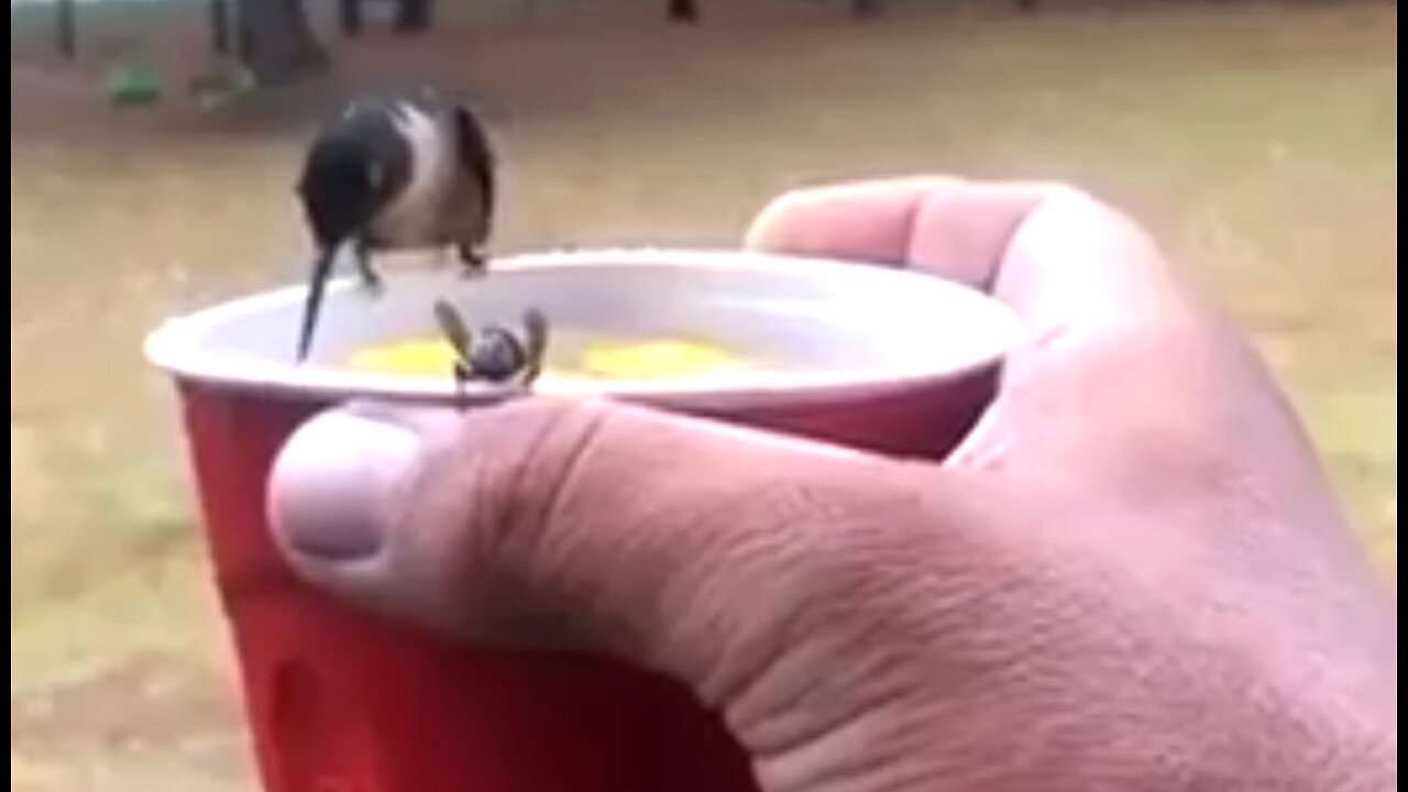 WAITING ON GOD - DAILY DEVOTIONAL ❤️