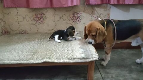 deep relashionship between father and daughter
