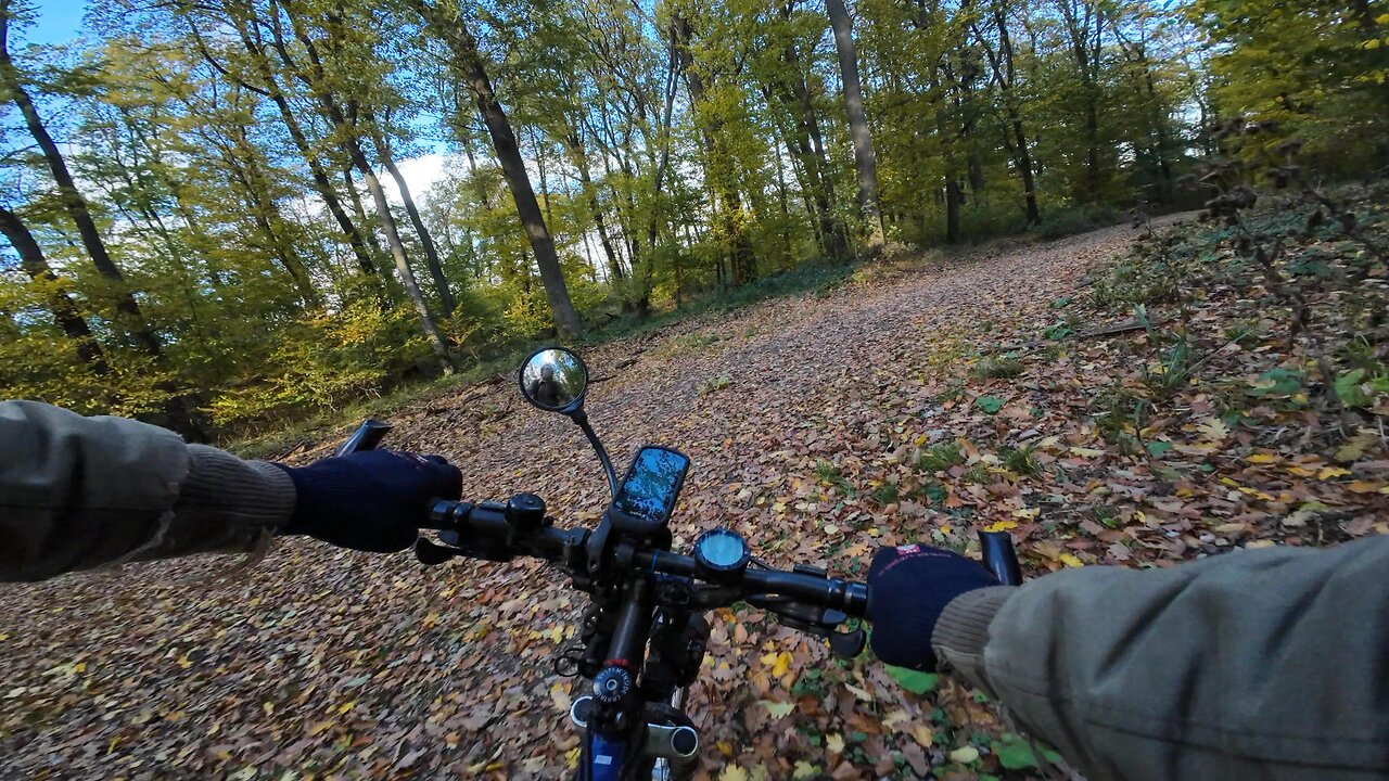 Cycling, 24.10.2025 [A] Autumn Leaves