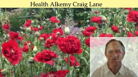 Craig Lane Personal Alkemy of Mood and Energy Transformation (QUICK & EASY)