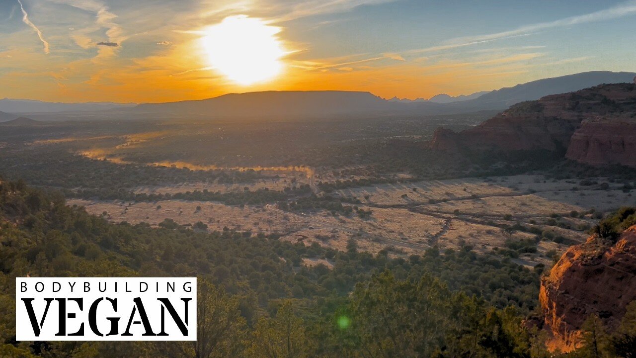 Road Trip Adventure Vlog 6 - Sedona, Sanctuaries & Silliness! YourVeganMentor1 Arrives!