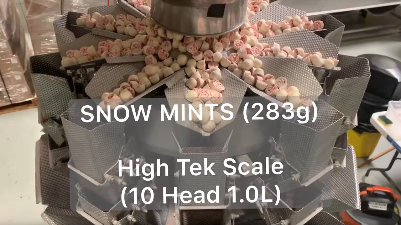 USA Scale and Bagger Combo Kit | Snack Mint Automatic Snack Packaging Machine | Food Bagging Machine