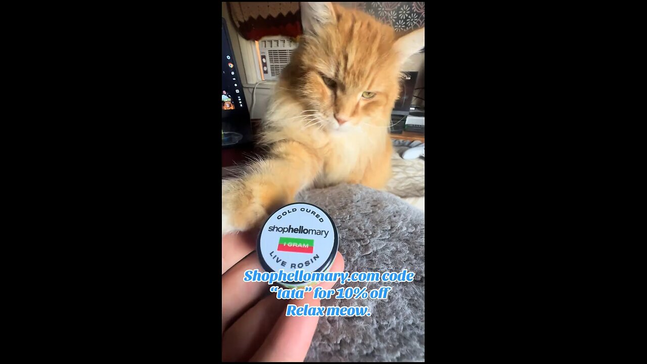 Hello mary watermelon banana rosin