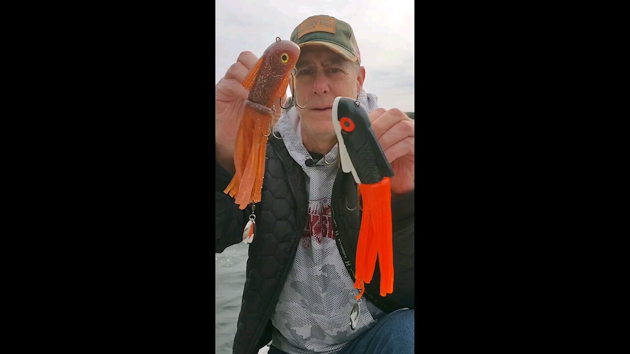 Boss Shad Hybrid