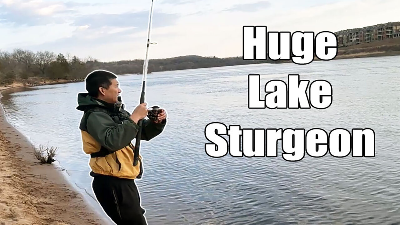 Huge Sturgeon On the Wisconsin River