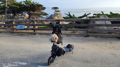 🛴💨💯🤙Electric Scooter Tour: Pebble Beach California...17-Mile Drive • Lone Cypress😎Hype Version
