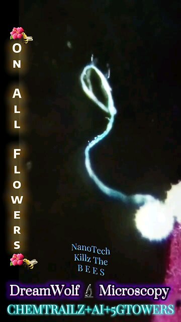 What is killing the bees I know what it is.