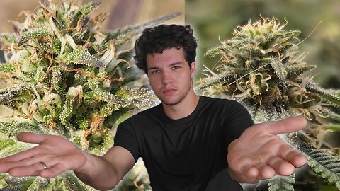 How To Customize Your HIGH
