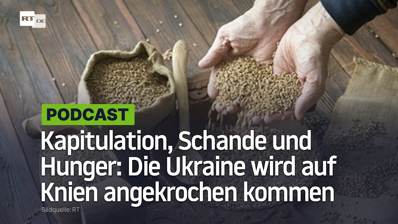 Kapitulation, Schande und Hunger: Die Ukraine wird vor Russland auf den Knien angekrochen kommen