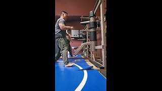 WTD Wooden Dummy Combination 10