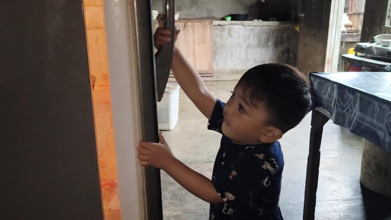 Si Grey Nagdula Pag-Usab sa Refrigerator!