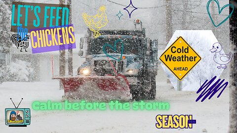 Calm Before the Storm | Let's Feed the Chickens | E260