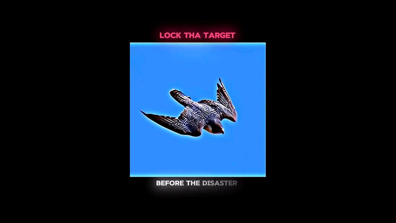 eagle speed gun 🦅🤯🥶 #shorts