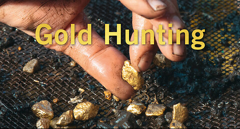Gold huntig in Costa Rica