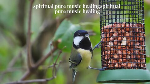 Spiritual music, healing music