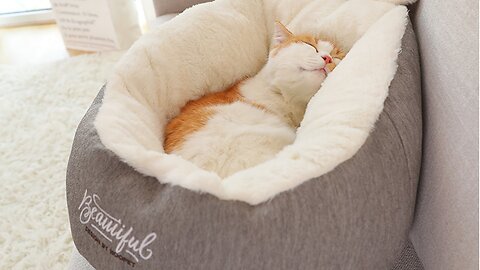 Cozy Pet Dog Bed: Soft Warming Sleeping Bag Cushion for Puppies