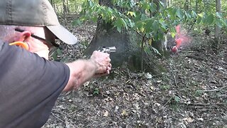 Colt King Cobra .22LR Woods Walk