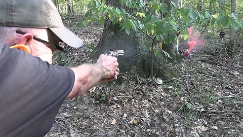 Colt King Cobra .22LR Woods Walk