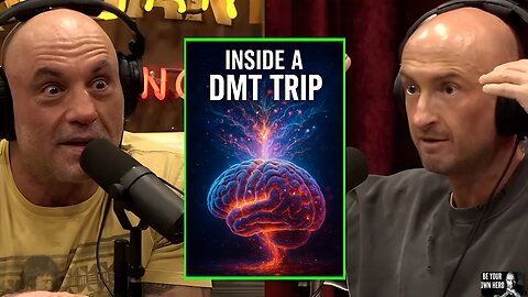 Joe Rogan & Gallimore: Inside a DMT Trip