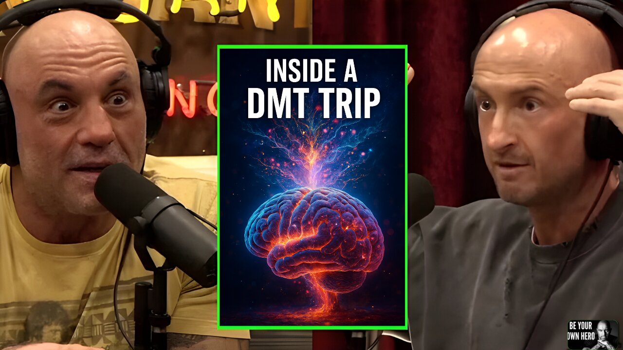 Joe Rogan & Gallimore: Inside a DMT Trip